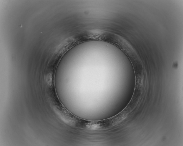 X0000089340602200706221119