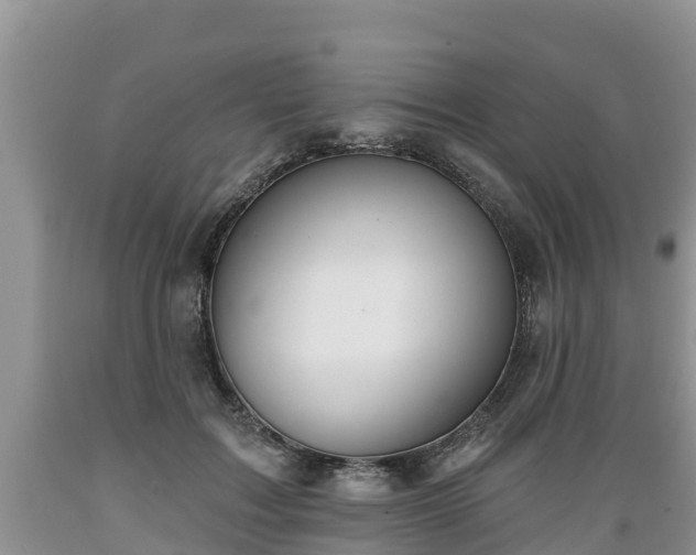 X0000089340603200706221119