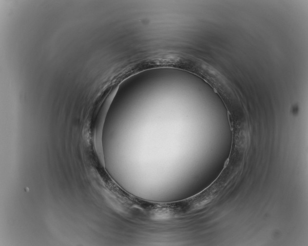 X0000089340604200706221119