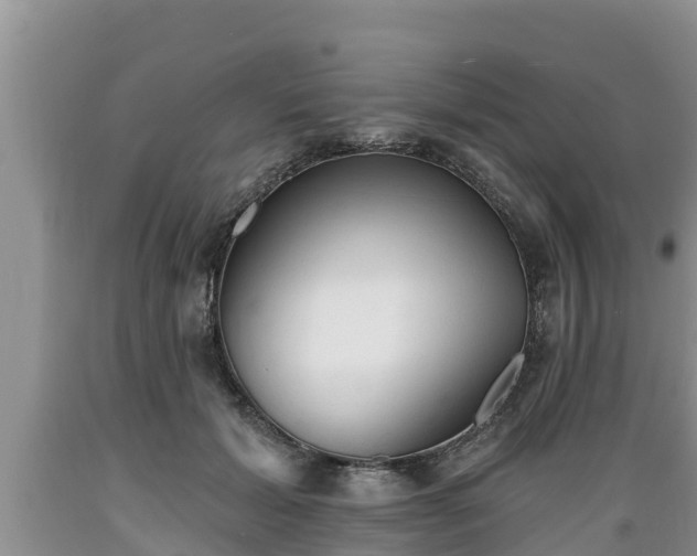 X0000089340605200706221119