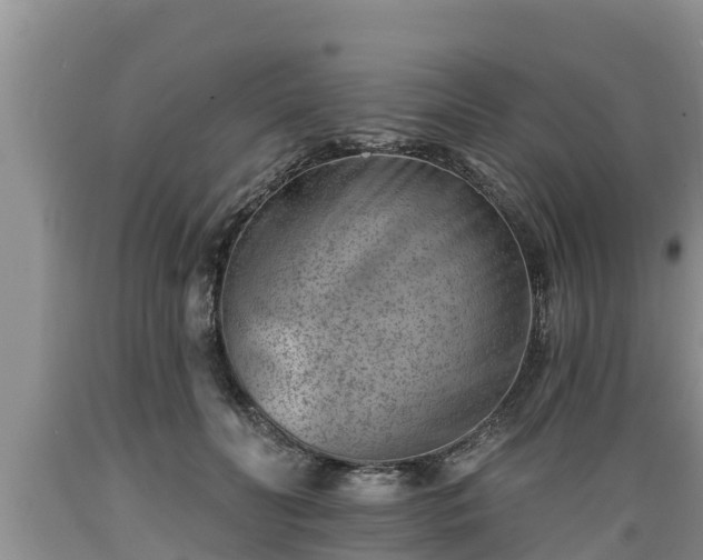 X0000089340606200706221119