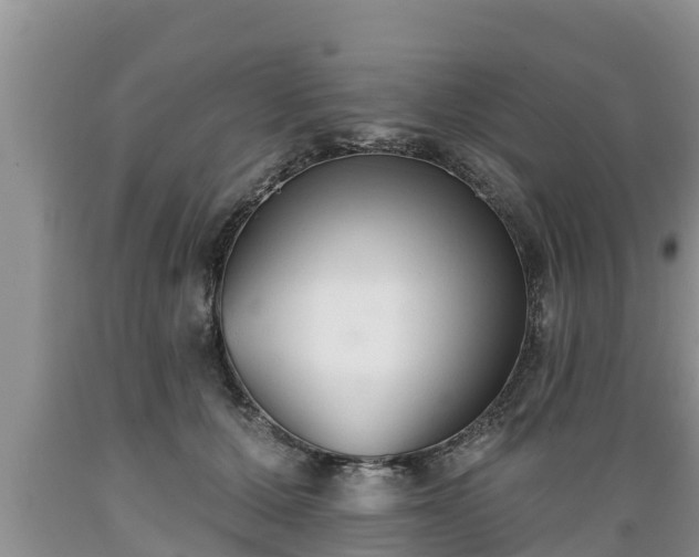 X0000089340607200706221119