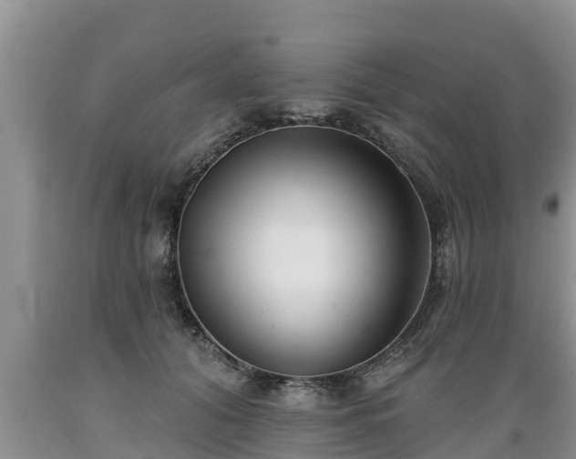 X0000089340608200706221119