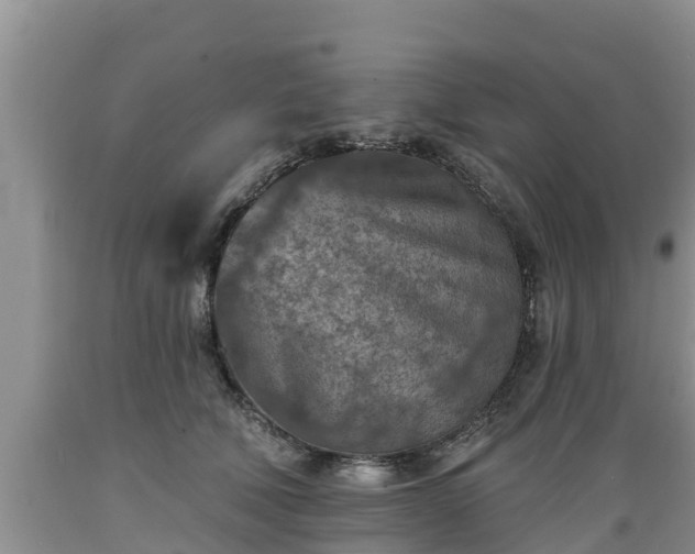 X0000089340610200706221119