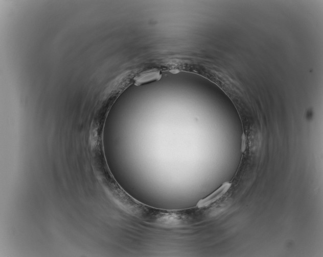 X0000089340611200706221119