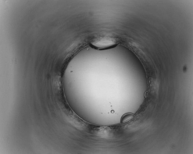 X0000089340612200706221119