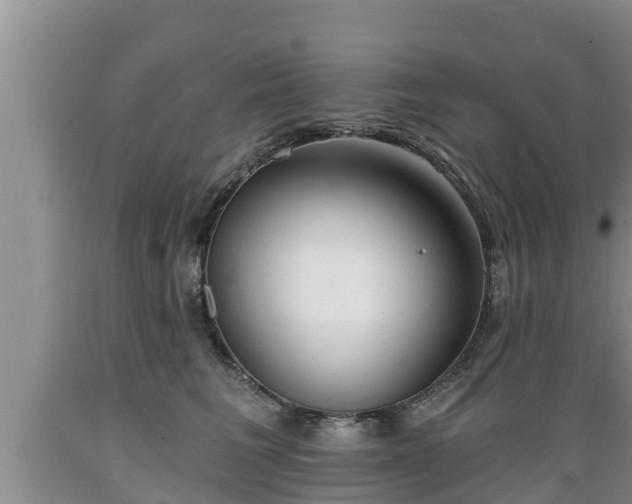 X0000089340613200706221118