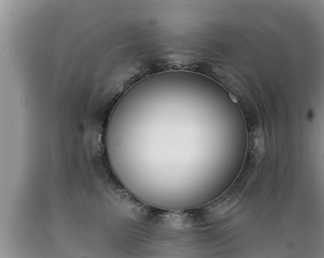 X0000089340615200706221118