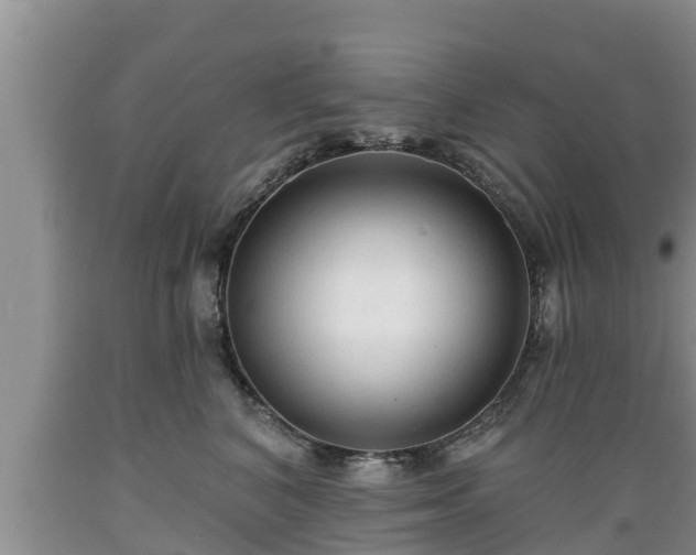 X0000089340616200706221118