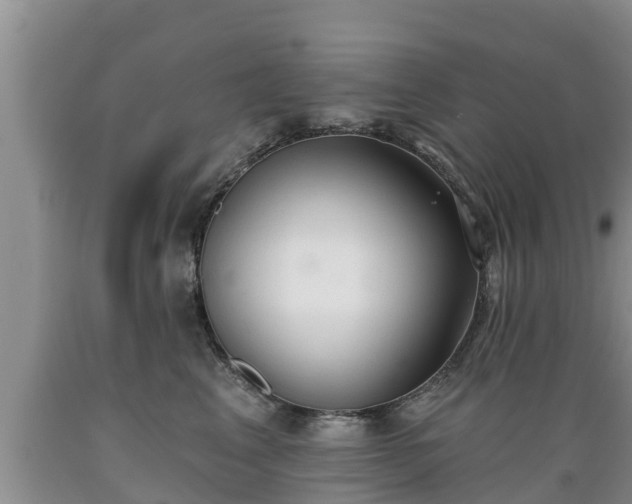 X0000089340617200706221118