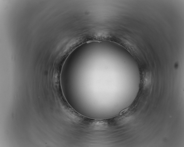 X0000089340619200706221118