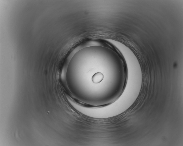 X0000089340621200706221118