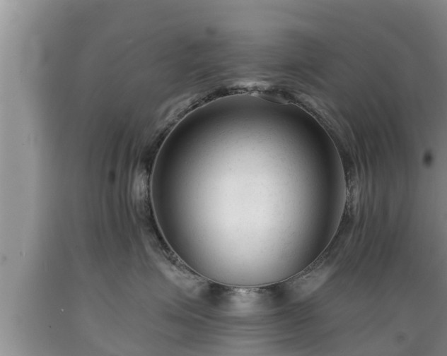 X0000089340623200706221118