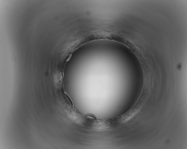 X0000089340624200706221118