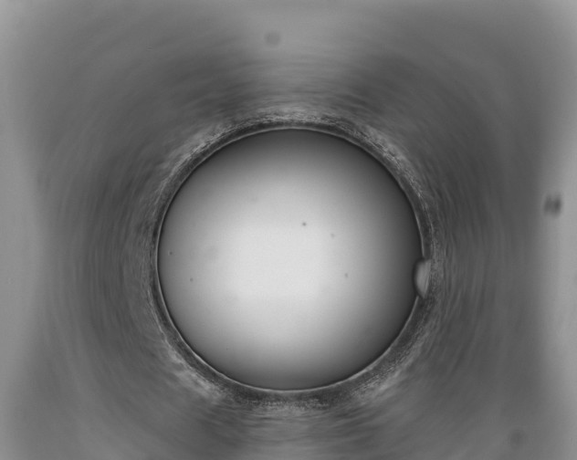 X0000089340625200706221118