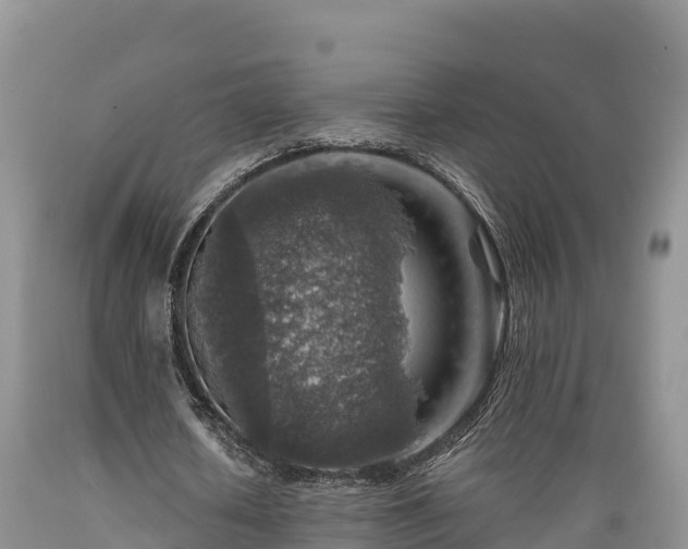X0000089340626200706221118