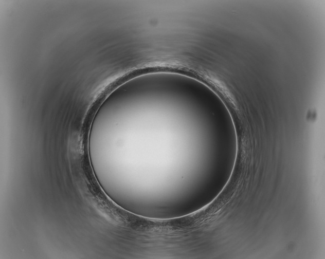 X0000089340628200706221118