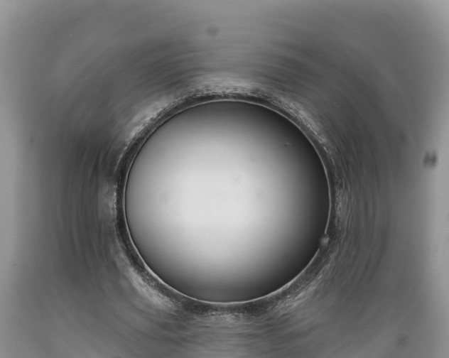 X0000089340629200706221118