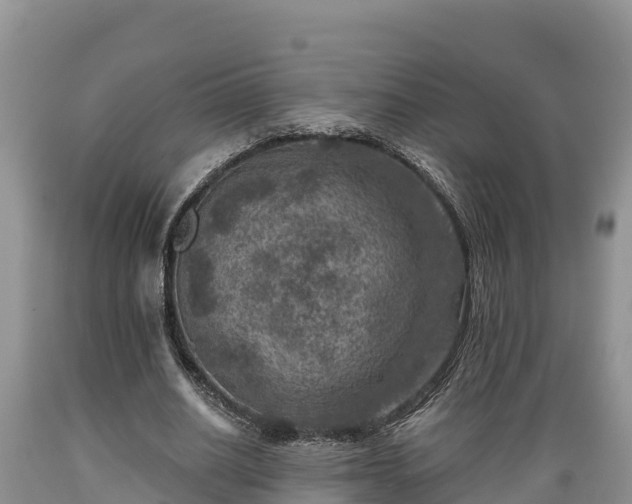 X0000089340630200706221118