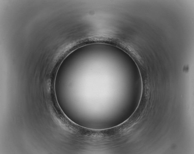X0000089340631200706221118