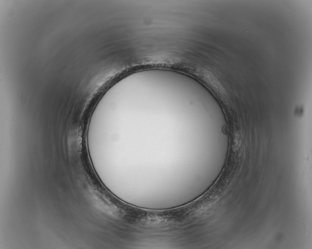 X0000089340632200706221118