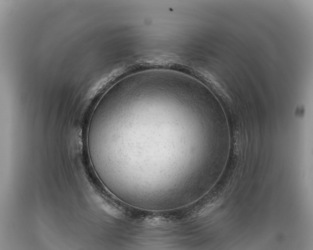 X0000089340634200706221118