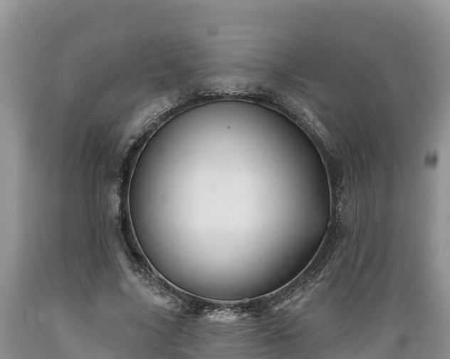 X0000089340635200706221118
