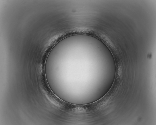 X0000089340636200706221118