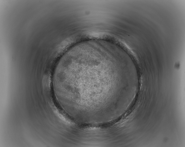 X0000089340637200706221118