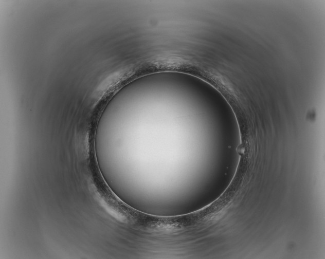 X0000089340638200706221118