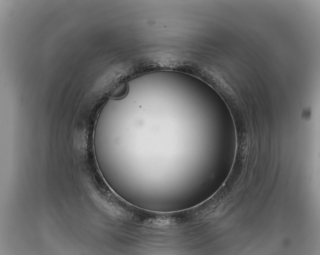 X0000089340639200706221118