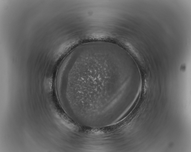 X0000089340640200706221118