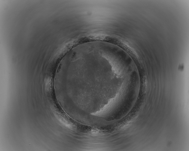 X0000089340641200706221118