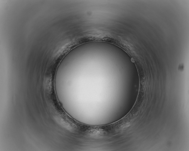 X0000089340642200706221118