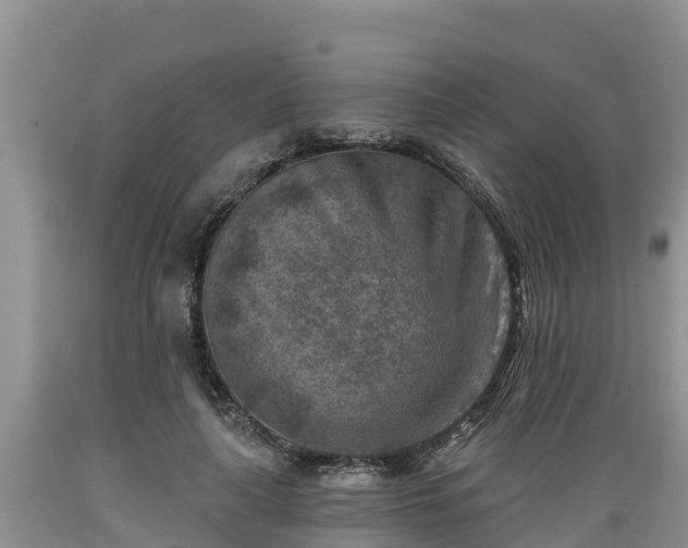 X0000089340643200706221118