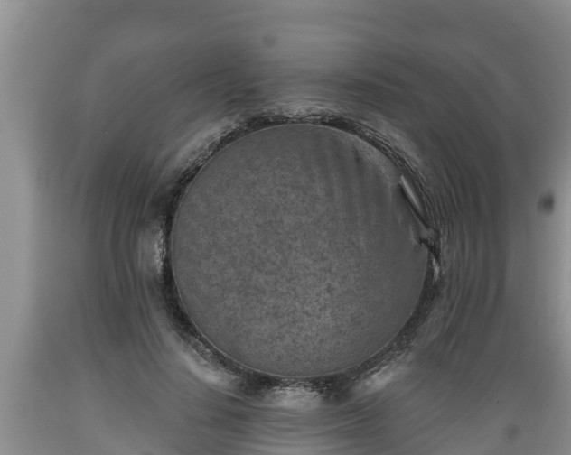 X0000089340644200706221118