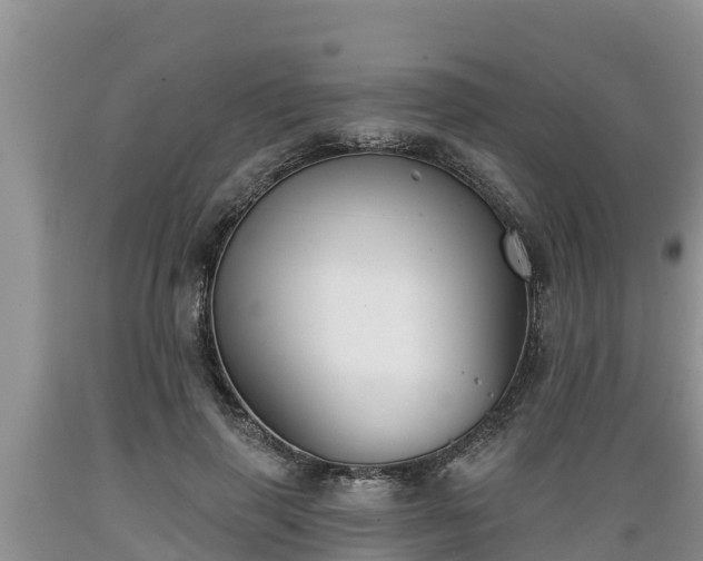 X0000089340645200706221118