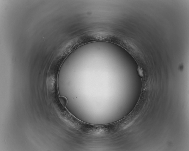X0000089340646200706221118