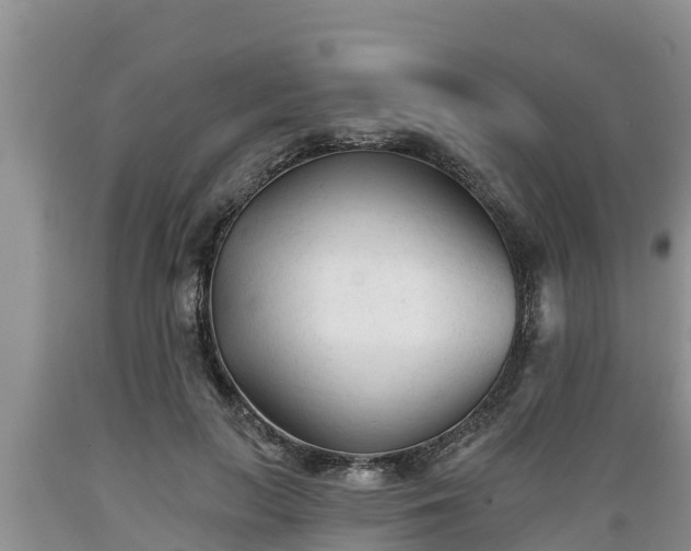 X0000089340647200706221118