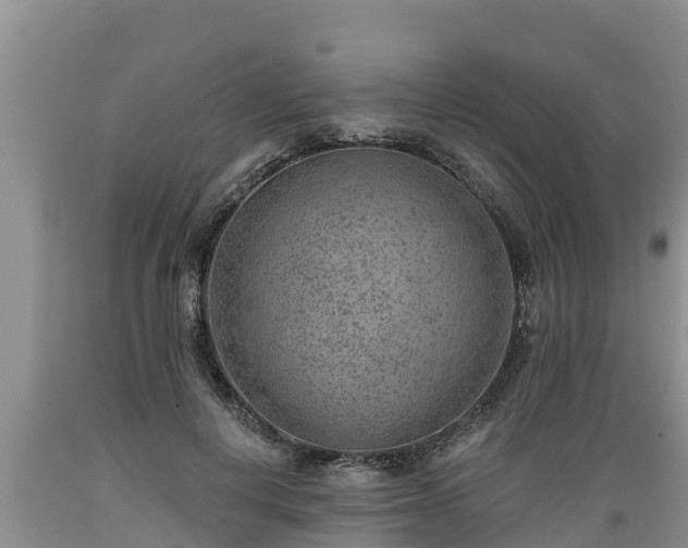 X0000089340648200706221118