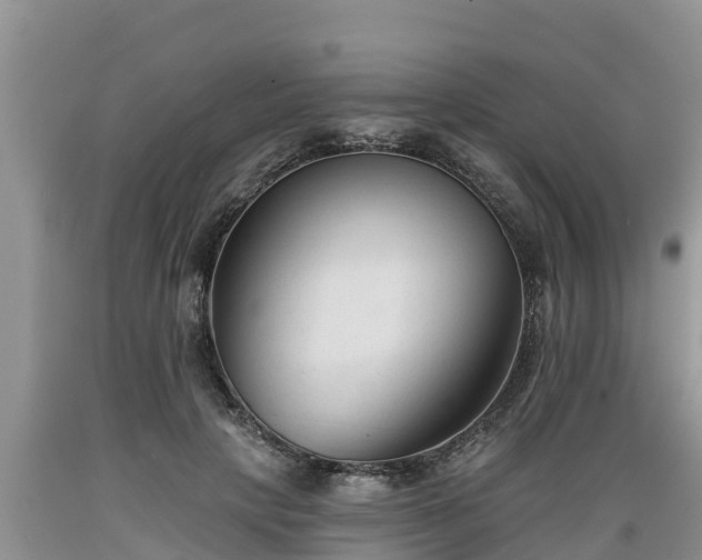 X0000089340649200706221118