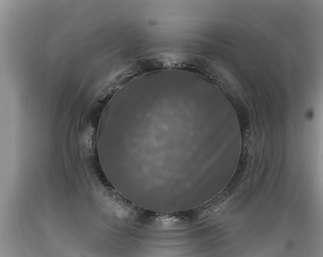 X0000089340650200706221118