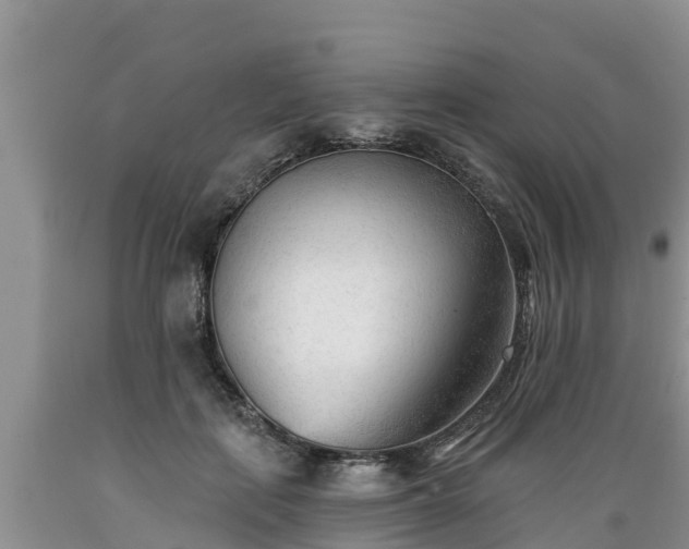 X0000089340651200706221118