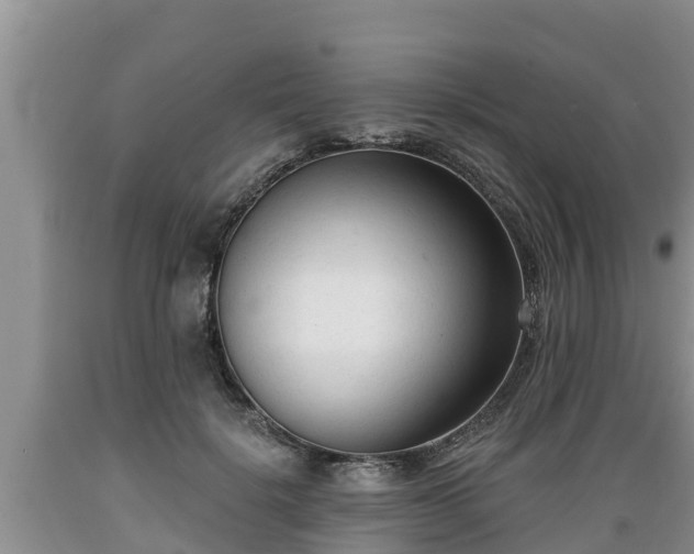 X0000089340652200706221118