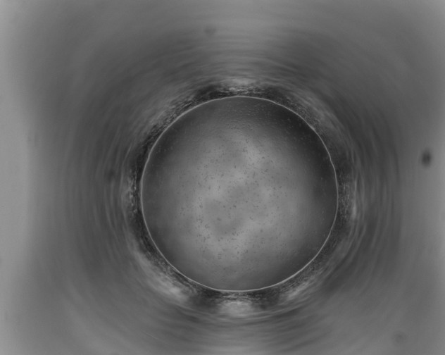 X0000089340653200706221118