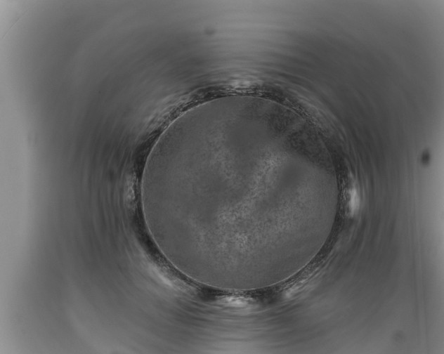 X0000089340654200706221118