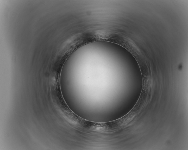 X0000089340655200706221118