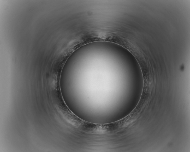X0000089340656200706221118