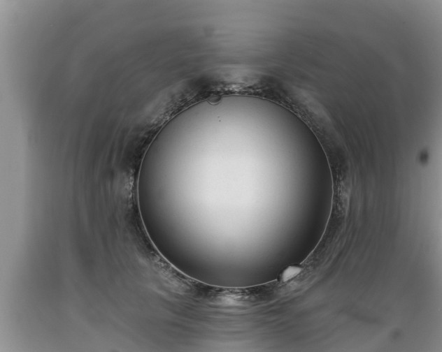 X0000089340657200706221118