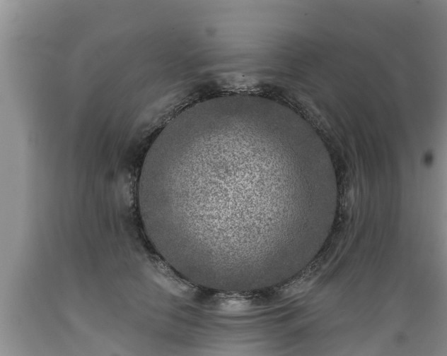 X0000089340658200706221118